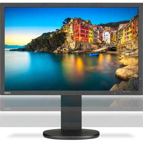 NEC P243W-BK Professional sRGB Gamut 24" 16:10 IPS Monitor